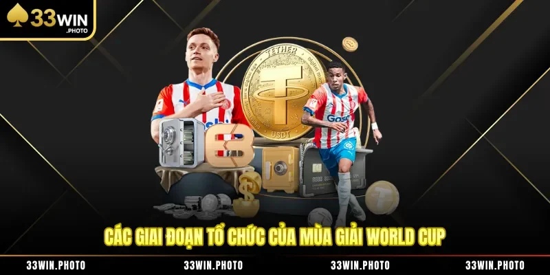 Các giai đoạn tổ chức của mùa giải World Cup