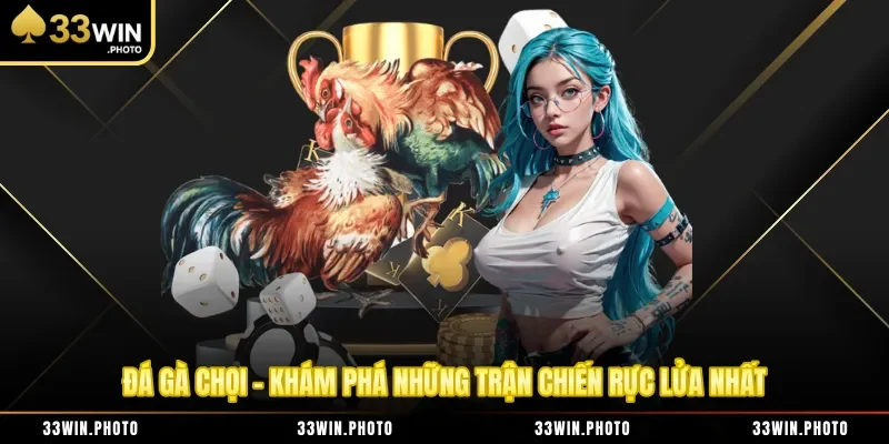 Đá Gà Chọi - Khám Phá Những Trận Chiến Rực Lửa Nhất