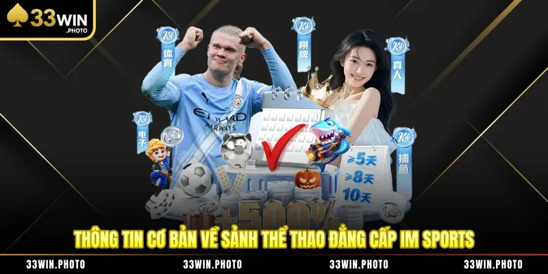 Thông tin cơ bản về sảnh thể thao đẳng cấp IM Sports