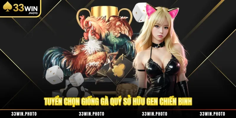 Tuyển chọn giống gà quý sở hữu gen chiến binh